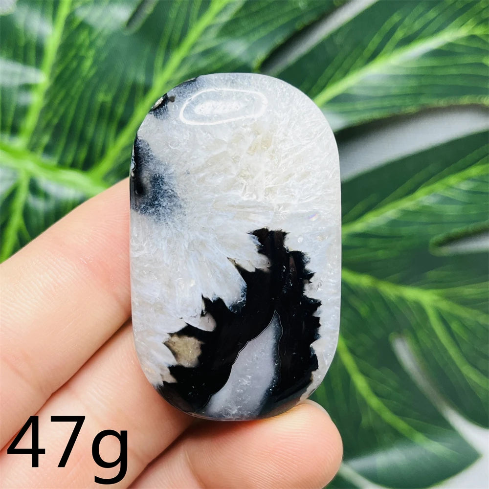 Black White Agate Palm Stone-ToShay.org