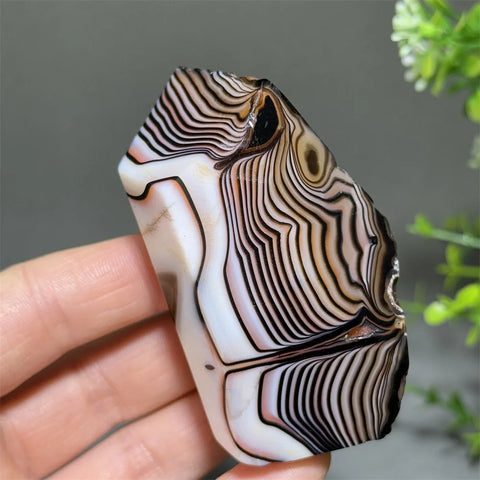 Black Striped Agate-ToShay.org
