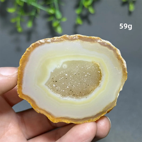 Yellow Agate Slice-ToShay.org