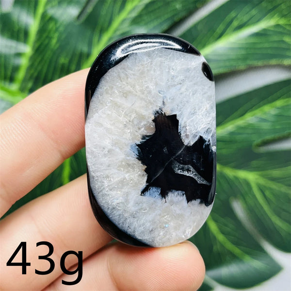 Black White Agate Palm Stone-ToShay.org
