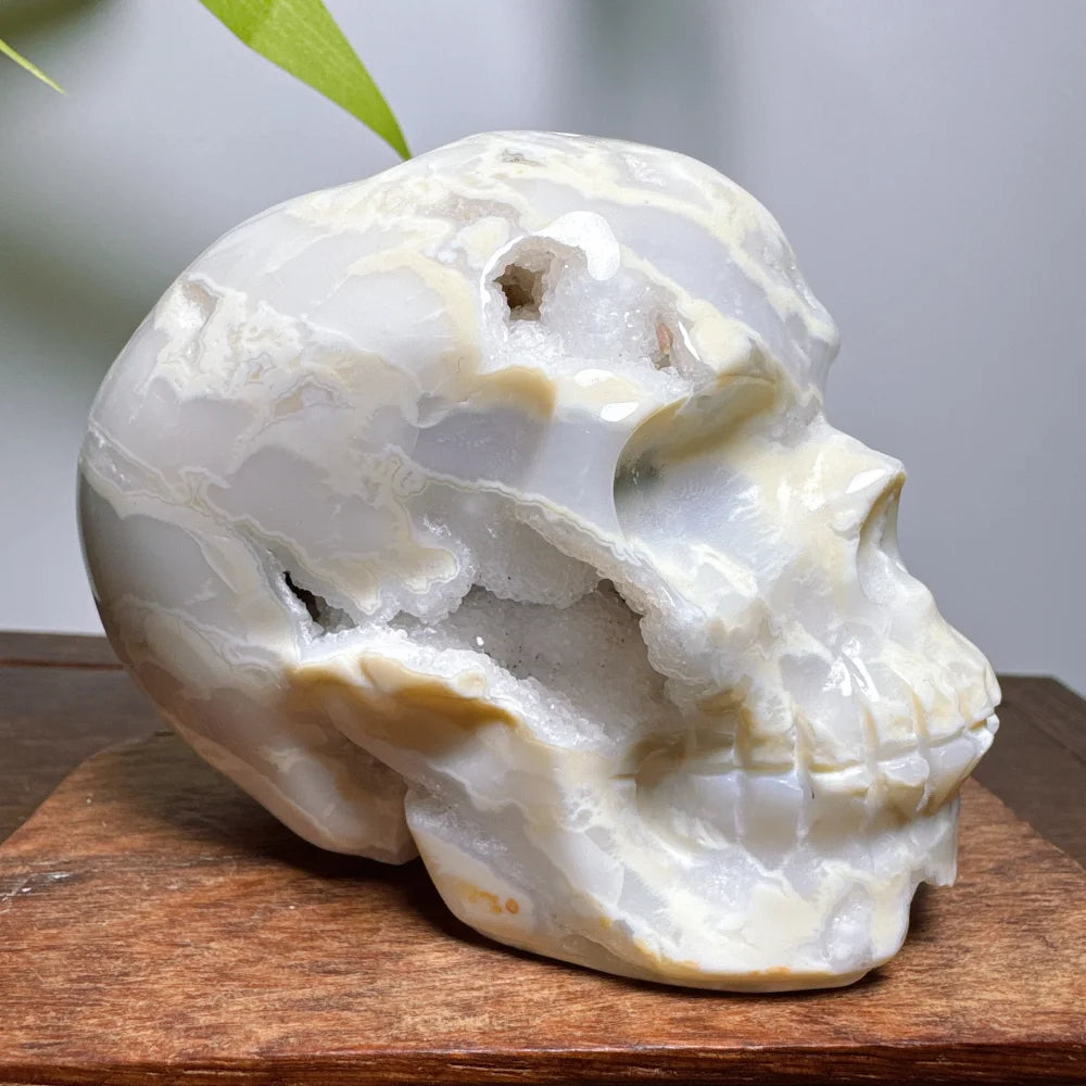 White Agate Geode Cranium Natural Stones Crystals Chakra Skulls Wicca Wichcraft Reiki Healing Gems Minerals Meditation Room-ToShay.org