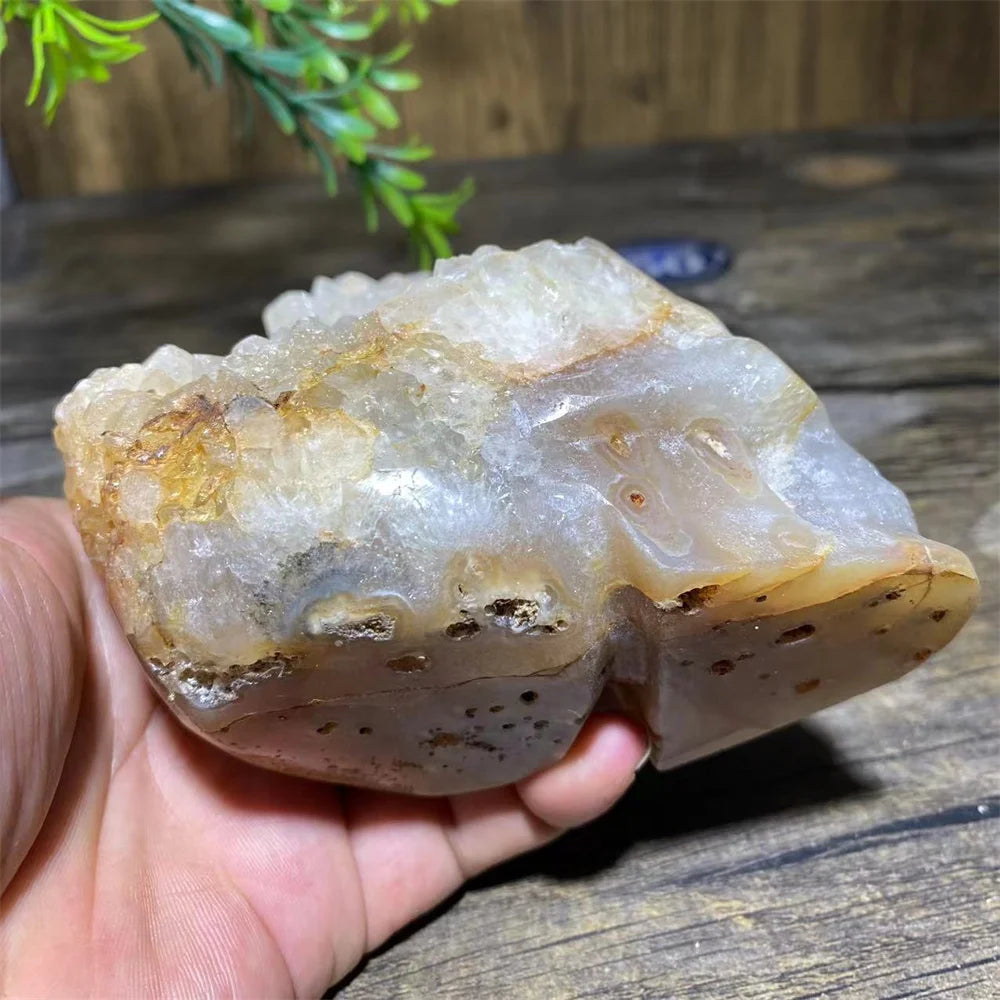 White Quartz Skull Cluster-ToShay.org