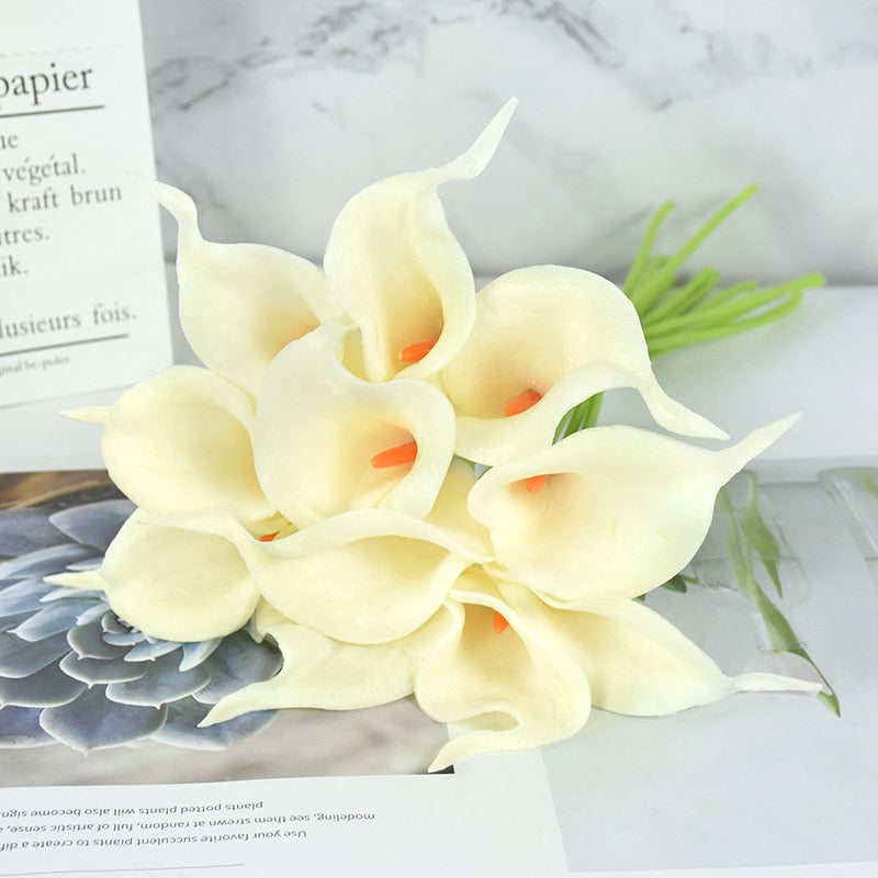 Calla Lily Stem Flower-ToShay.org
