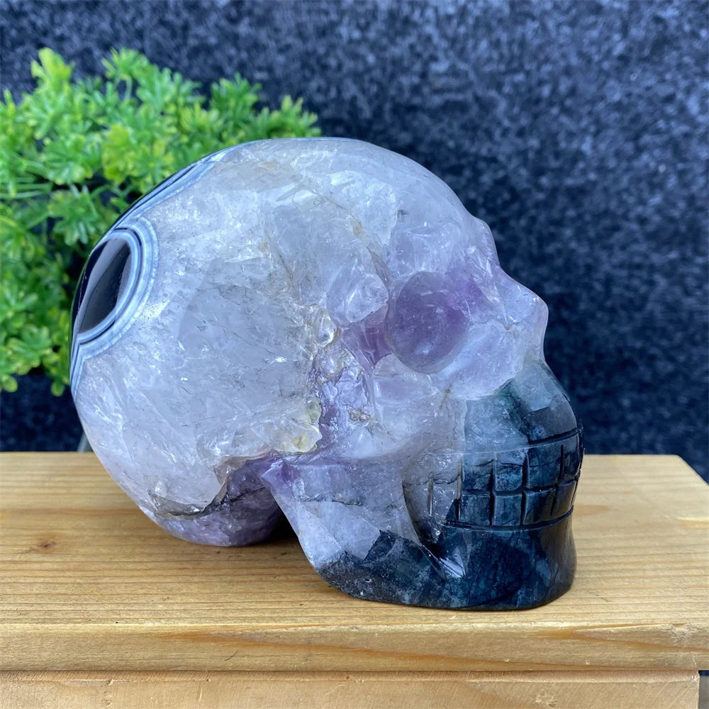 Black Agate Skull-ToShay.org