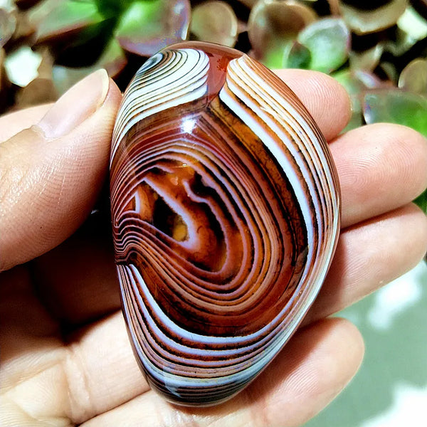 Red Flower Agate Palm Stone-ToShay.org