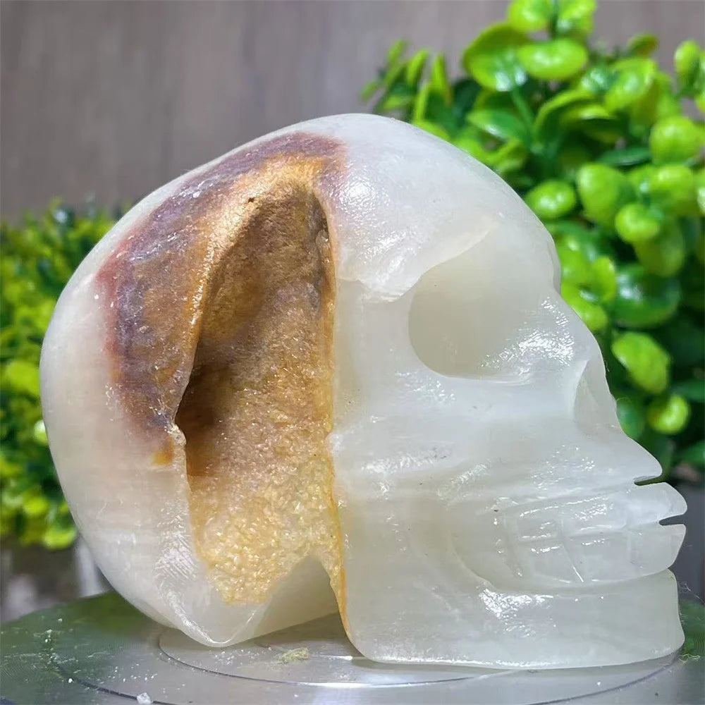 White Jade Skull-ToShay.org