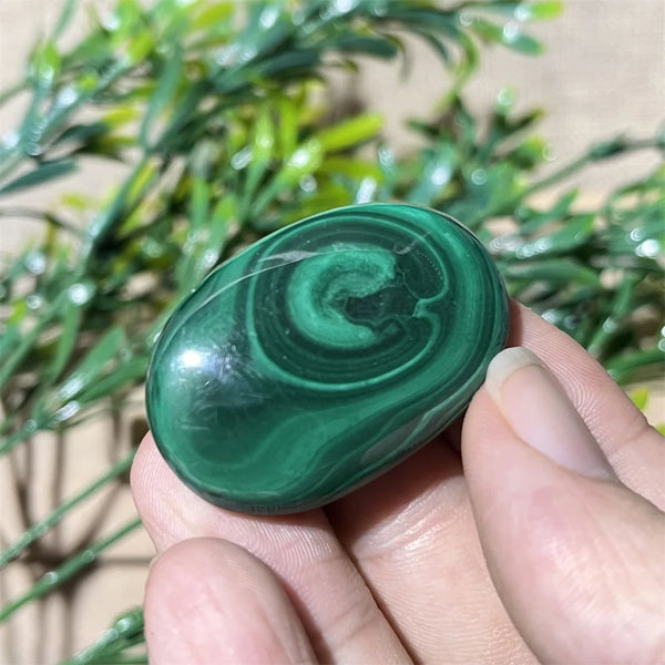 Green Malachite Palm Stone-ToShay.org