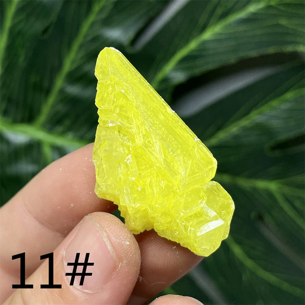 Yellow Sulfur Clusters-ToShay.org