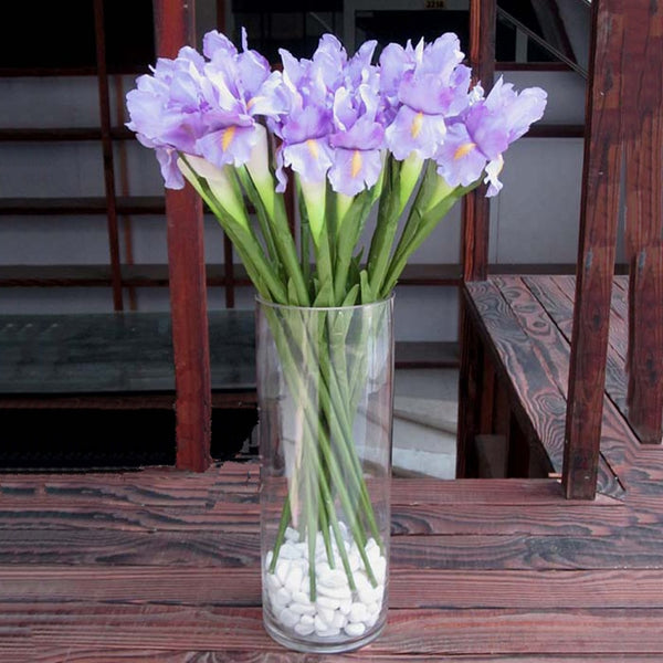 Iris Flower Stem-ToShay.org