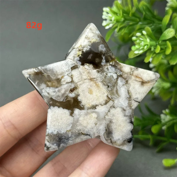 Black Cherry Blossom Agate-ToShay.org