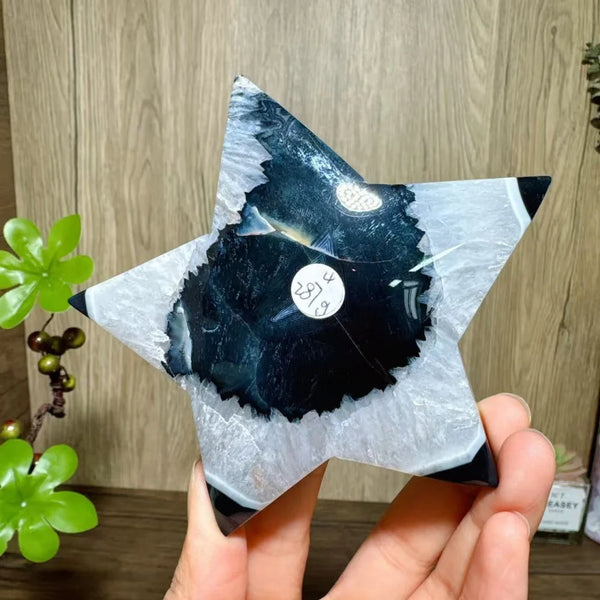 Black Agate Star-ToShay.org