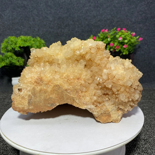 White Quartz Crystal Cluster-ToShay.org