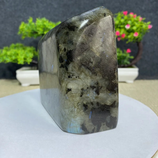 Blue Labradorite Quartz-ToShay.org