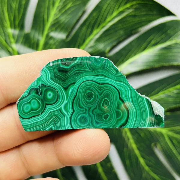 Green Eyes Malachite-ToShay.org