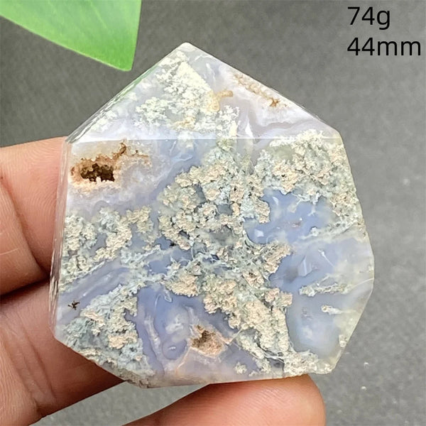 Green Water Plant Agate-ToShay.org