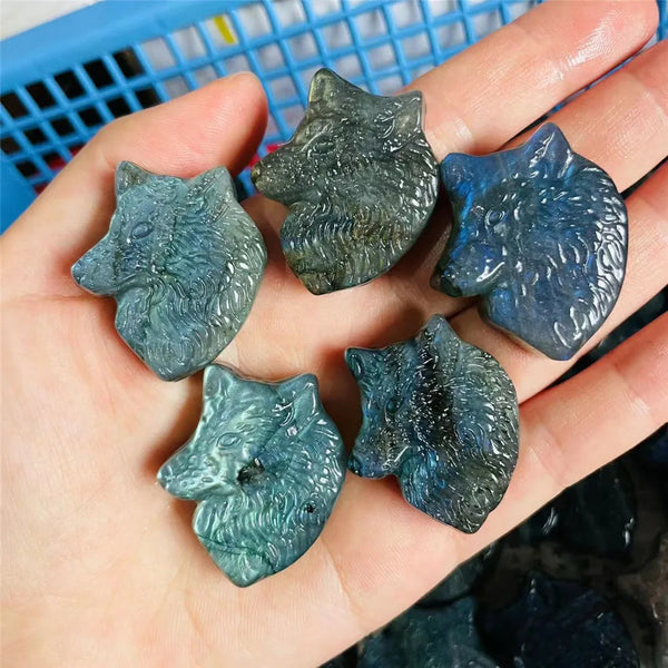 Blue Labradorite Wolf Head-ToShay.org