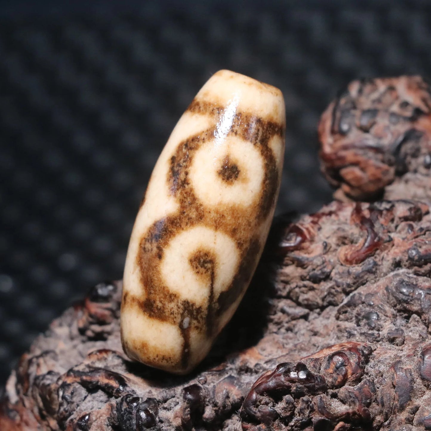 Tibetan Agate Eye Dzi Bead-ToShay.org