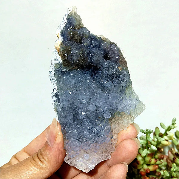 Purple Vision Crystal Cluster-ToShay.org