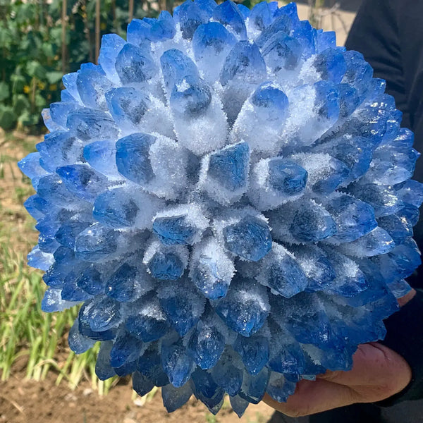 Blue Phantom Quartz Cluster-ToShay.org