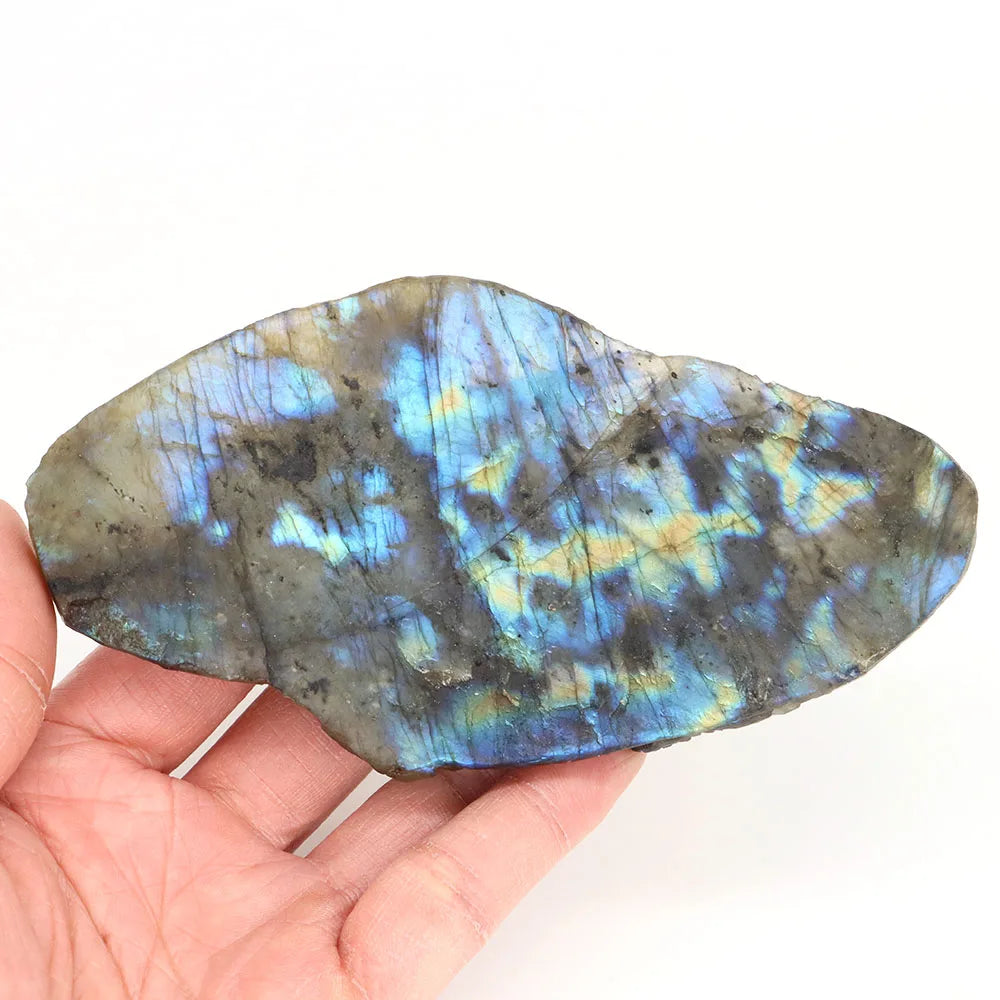 Blue Labradorite Gecko-ToShay.org
