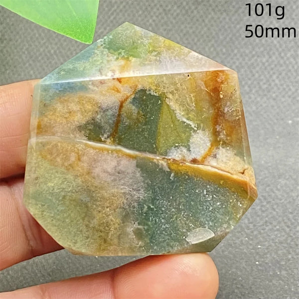 Green Water Plant Agate-ToShay.org