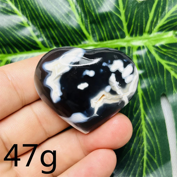 Black White Orca Agate-ToShay.org