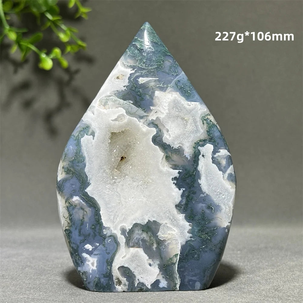 Green Aquatic Plant Agate-ToShay.org