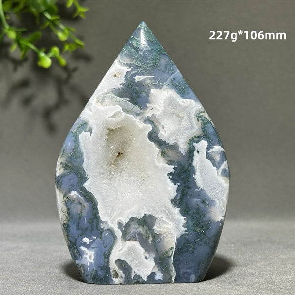 Green Aquatic Plant Agate-ToShay.org