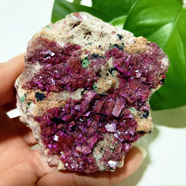 Pink Cobaltocalcite Raw Rock-ToShay.org