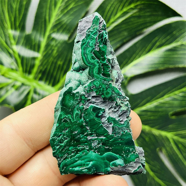 Green Eyes Malachite-ToShay.org