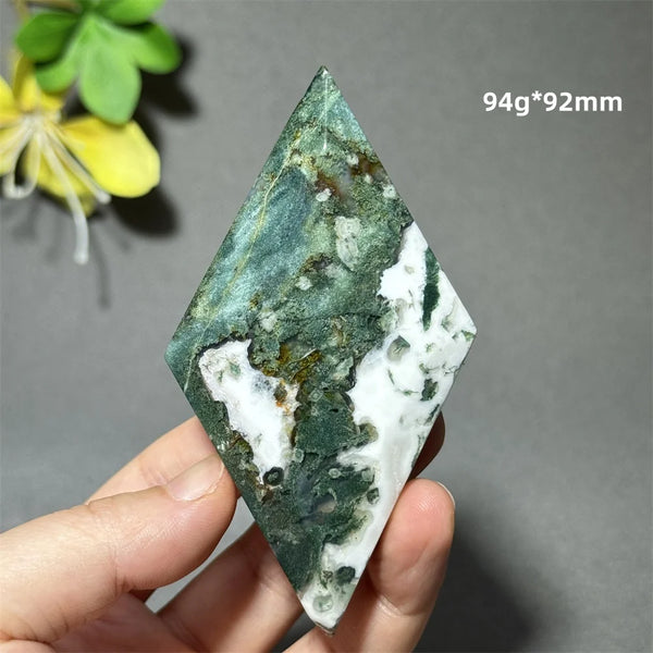 Green Aquatic Plant Agate-ToShay.org