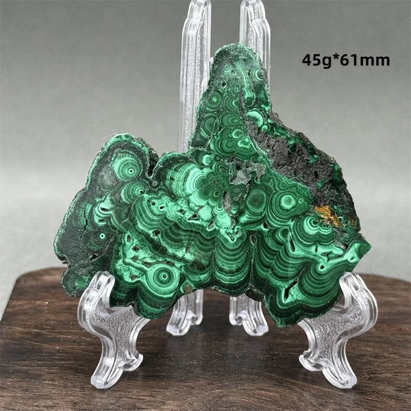 Green Malachite Raw Slice-ToShay.org