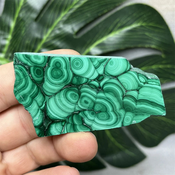 Green Eyes Malachite-ToShay.org