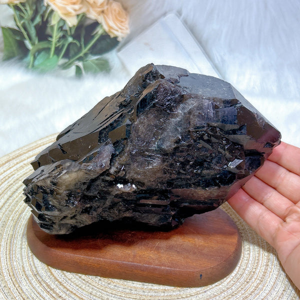 Black Quartz Skeletal Cluster-ToShay.org