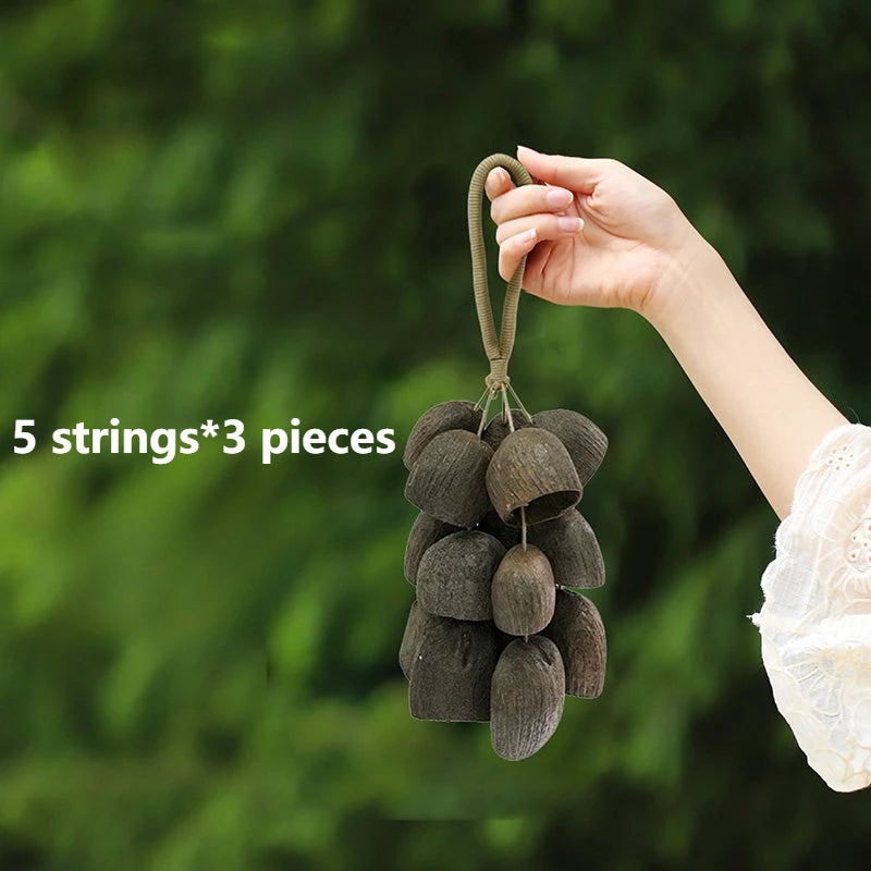 Shell Nut Bell Chimes-ToShay.org