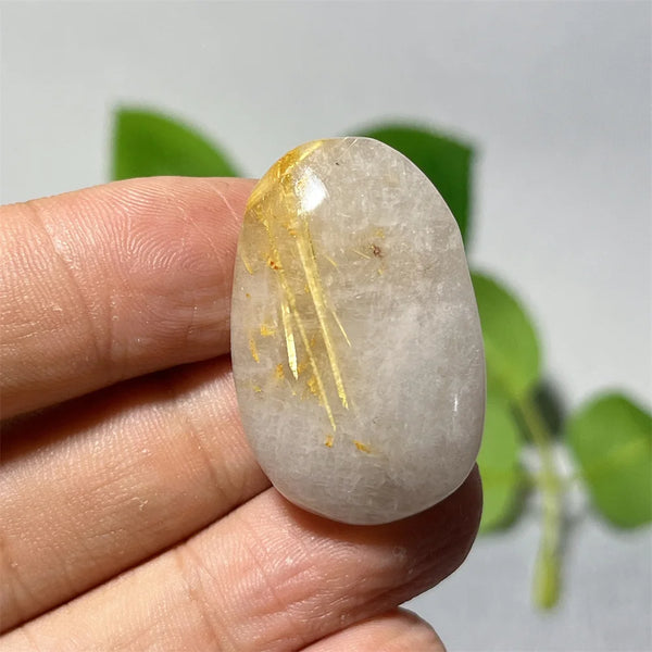 Gold Hair Rutile Quartz-ToShay.org