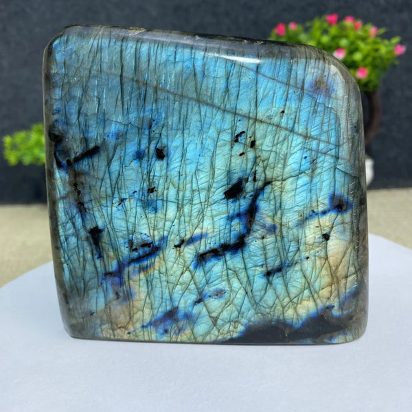 Blue Labradorite Quartz-ToShay.org