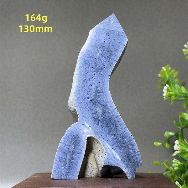 Blue Coral Crystal-ToShay.org