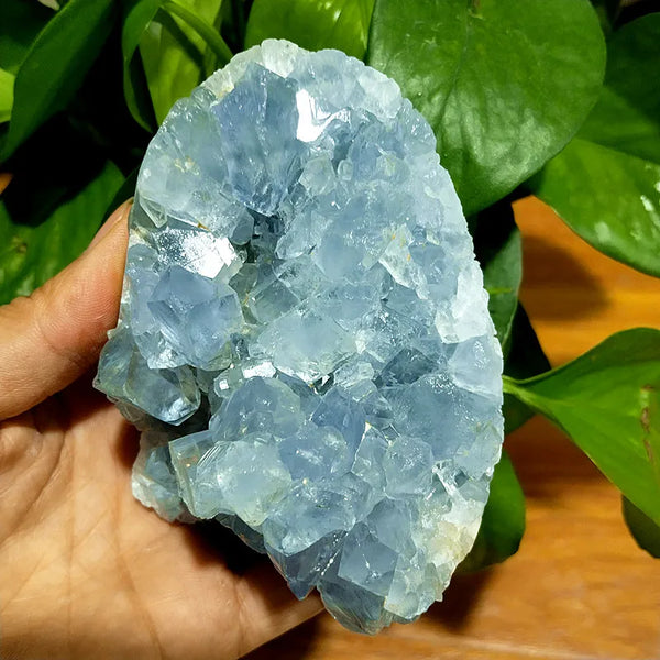 Blue Celestine Geode Crystal-ToShay.org
