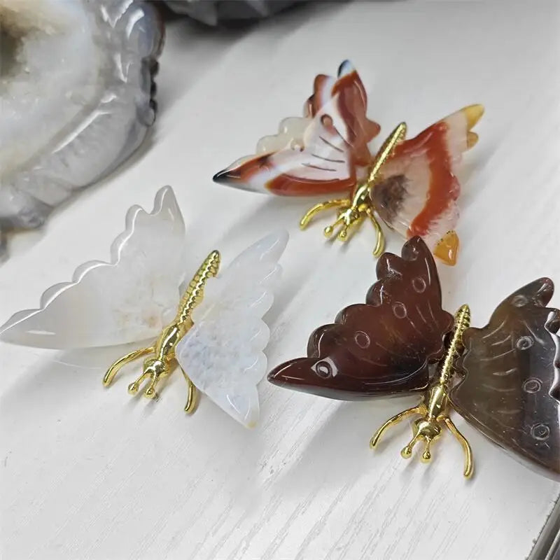 Mixed Agate Butterfly-ToShay.org