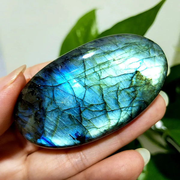 Blue Labradorite Palm Stones-ToShay.org