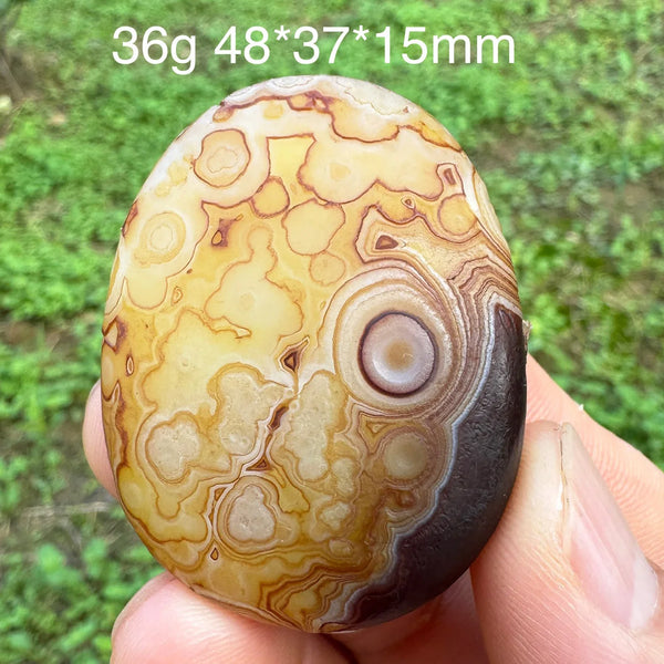 Brown Gobi Eye Agate-ToShay.org