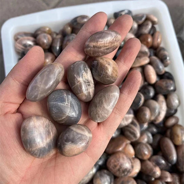 Black Moonstone Tumbled Stones-ToShay.org