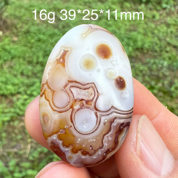 Brown Gobi Eye Agate-ToShay.org