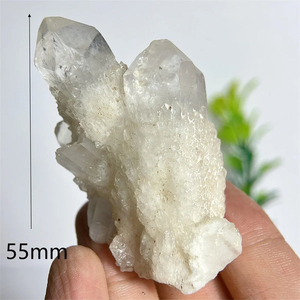 Clear Pineapple Quartz Cluster-ToShay.org