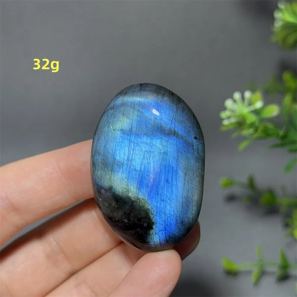 Blue Labrador Palm Stone-ToShay.org