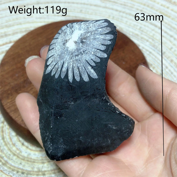 Black Chrysanthemum Raw Stone-ToShay.org