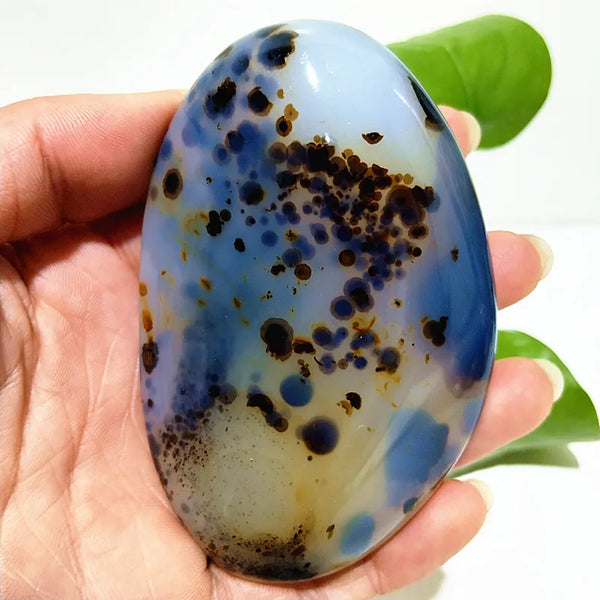 Yellow Blue Water Plant Agate-ToShay.org