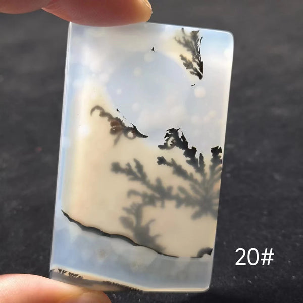 White Onyx Ocean Chalcedony-ToShay.org