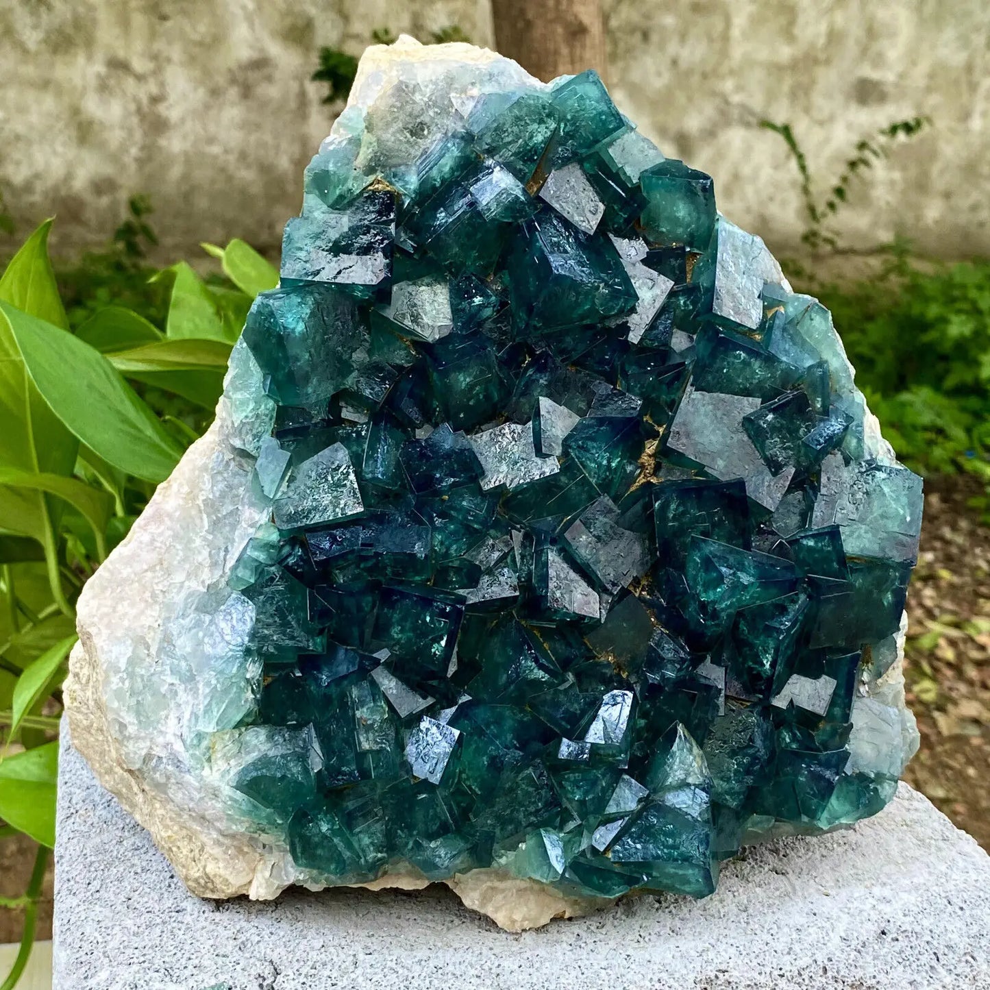 Green Fluorite Crystal-ToShay.org